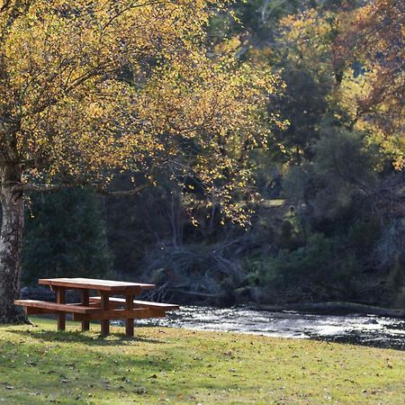 מלון וורברטון Oscar'S On The Yarra מראה חיצוני תמונה