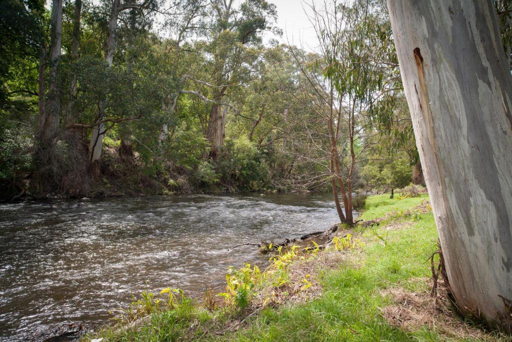 מלון וורברטון Oscar'S On The Yarra חדר תמונה