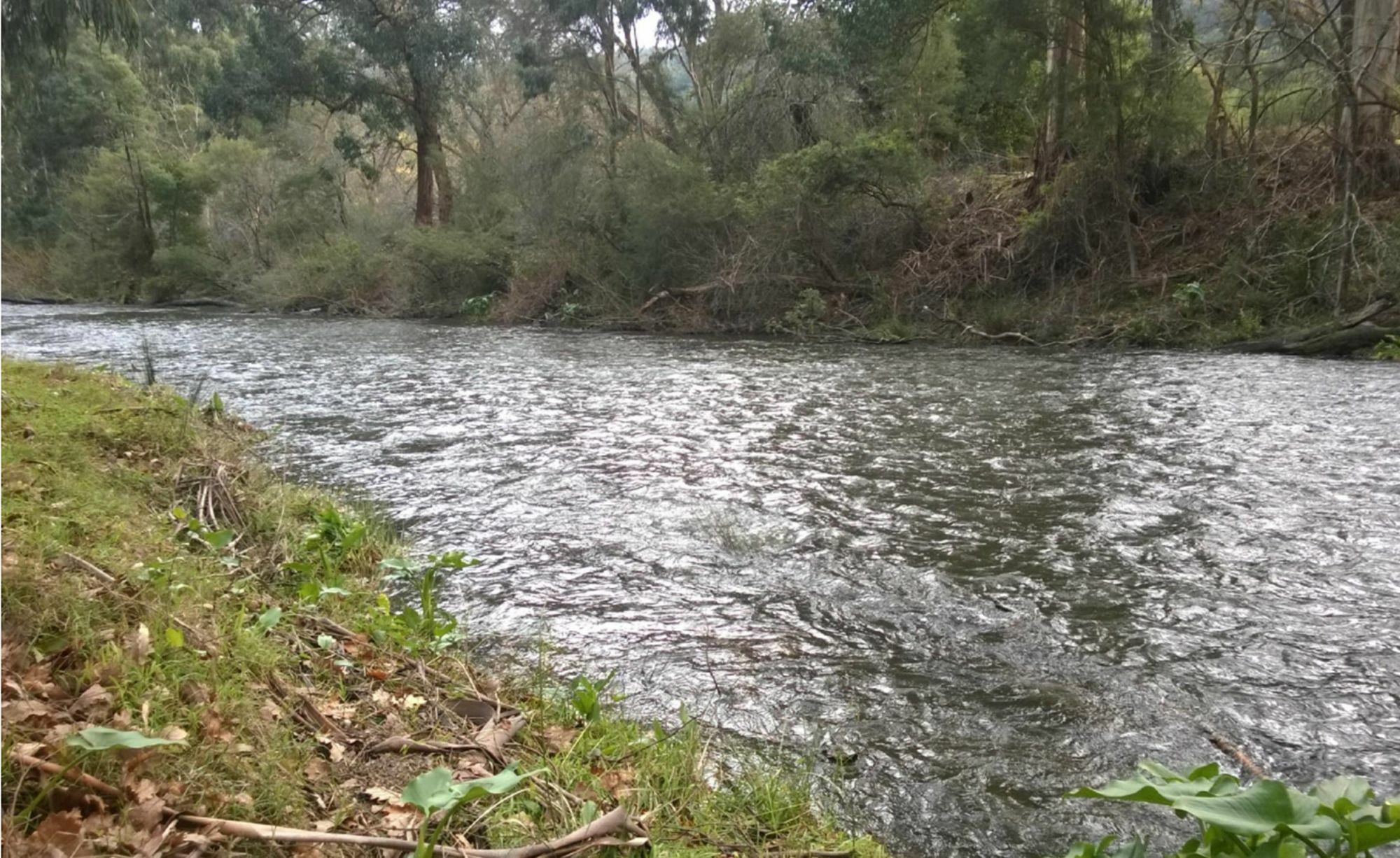 מלון וורברטון Oscar'S On The Yarra מראה חיצוני תמונה